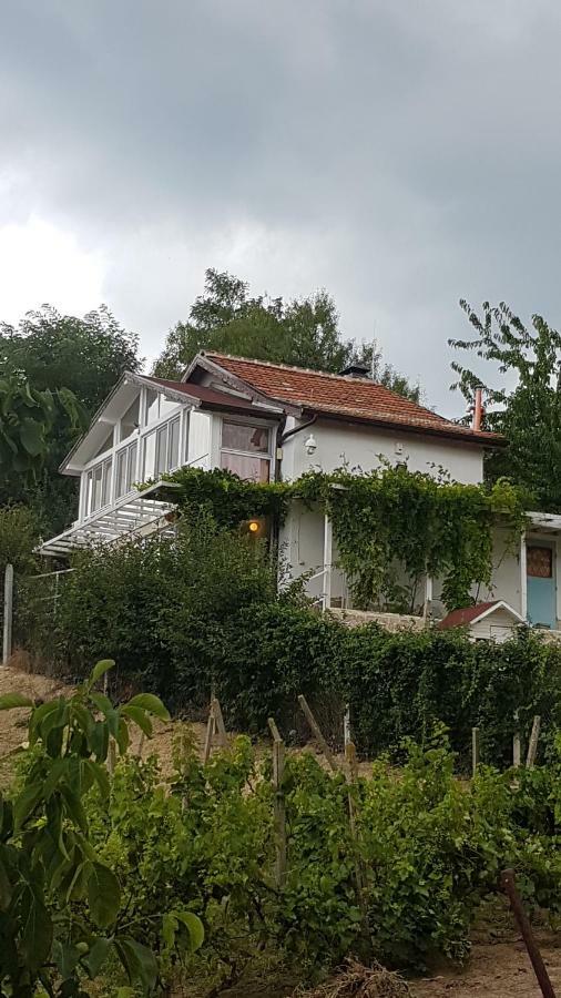 Garden House Βίλα Βάρνα Εξωτερικό φωτογραφία